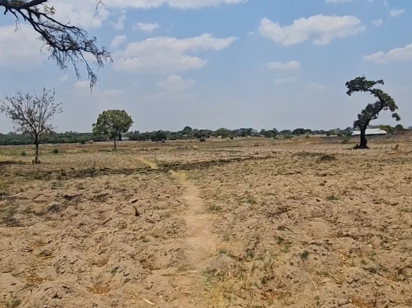 Commercial & Industrial Land