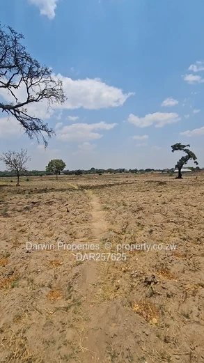 2000sqm-35,000sqm USD115/sqm COMMERCIAL STANDS WITH MAIN ROAD FRONTAGE