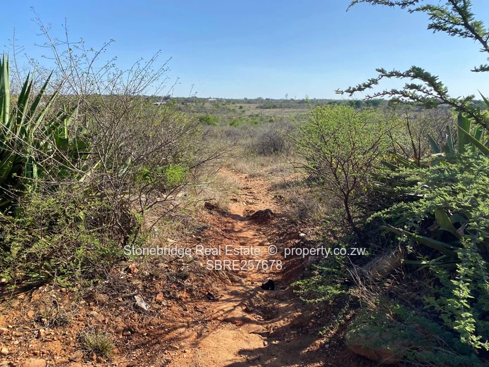 2.867Ha Plot in Kensington For Sale