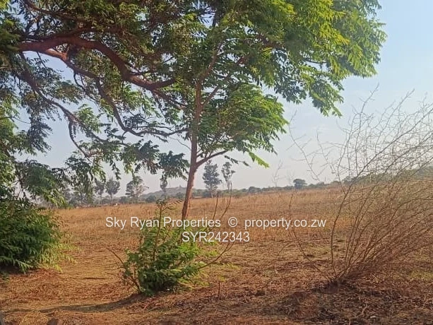 Tynwald South Land For Sale