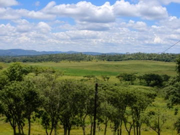 Farm & Agricultural Land
