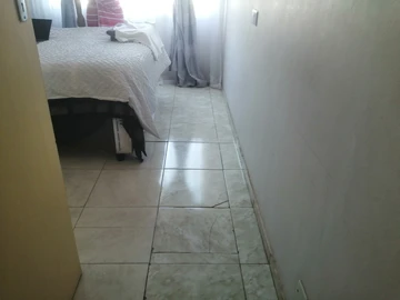 Flat & Apartment