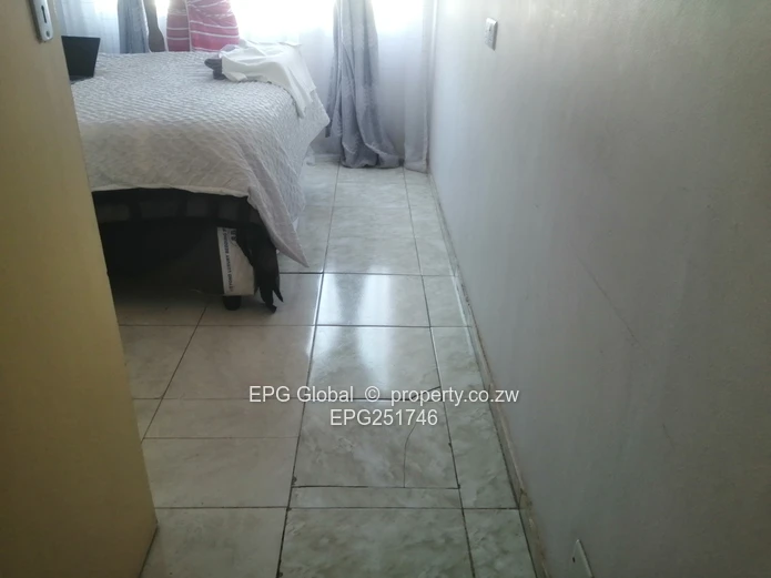Solid one bedroom flat available for letting 