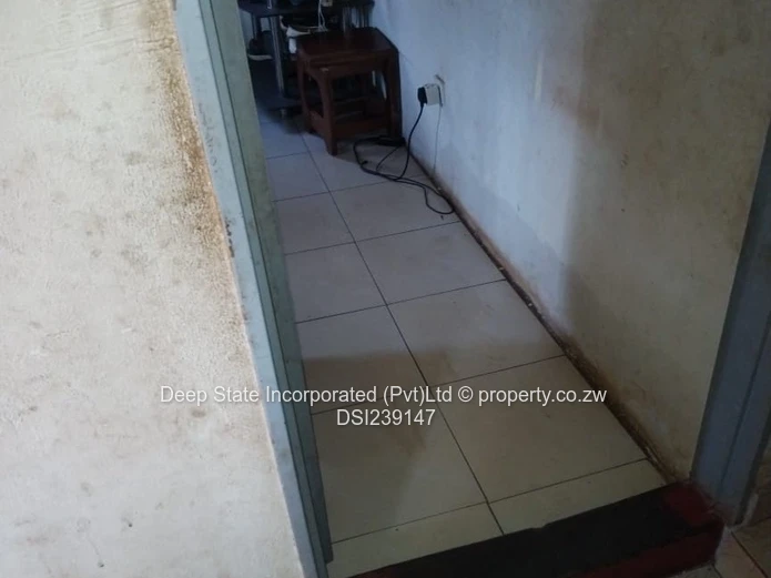 Warren park house for sale 