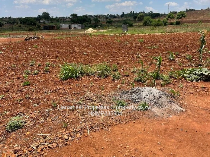 Glen Forest Stand For Sale (Sole Mandate)