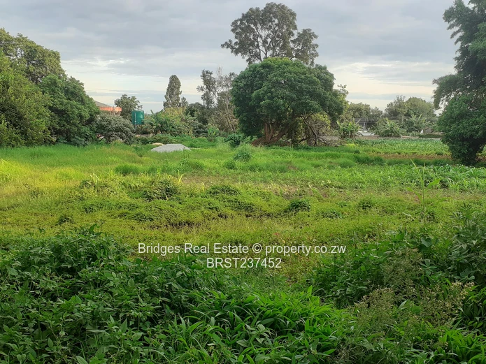 Property Development 101! The stuff of dreams!