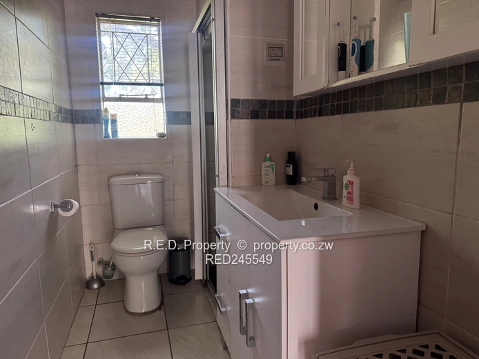 Business and Executive