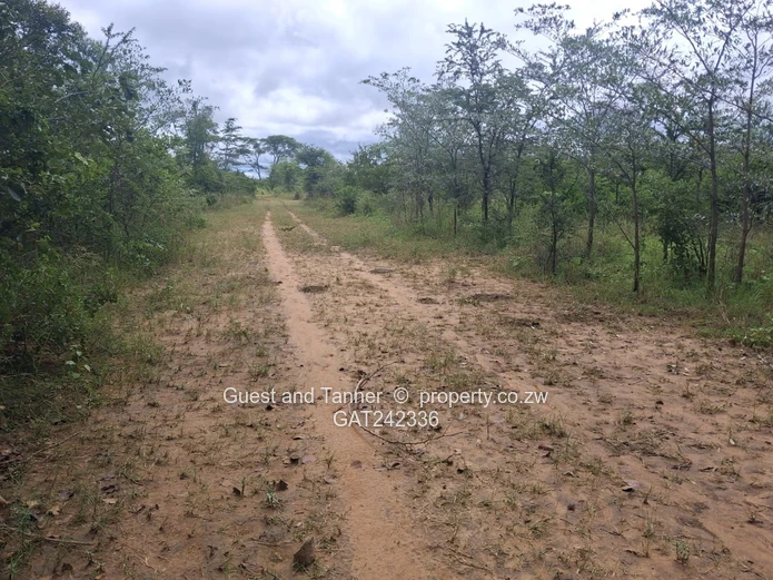 60-hectare Plot For Sale In Beatrice