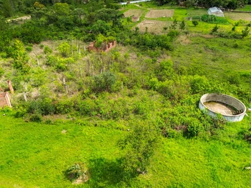 Farm & Agricultural Land