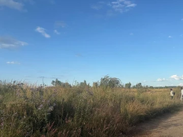 Stands & Residential Land