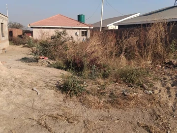 Stands & Residential Land