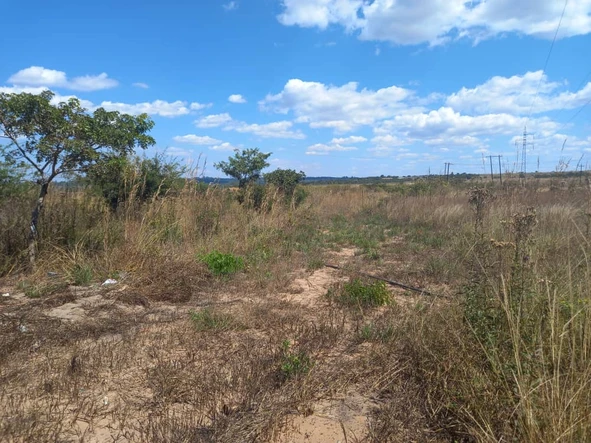 Farm & Agricultural Land