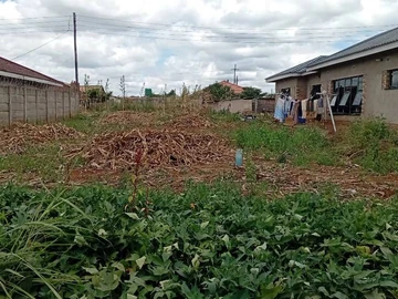 Stands & Residential Land