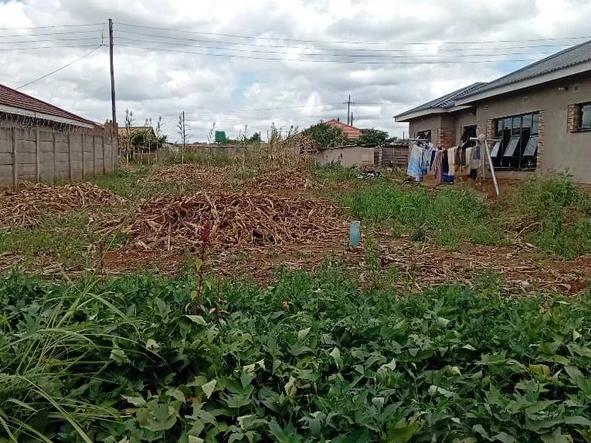 Stands & Residential Land