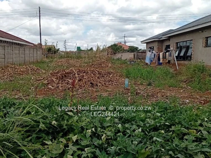 Good Investment Opportunity