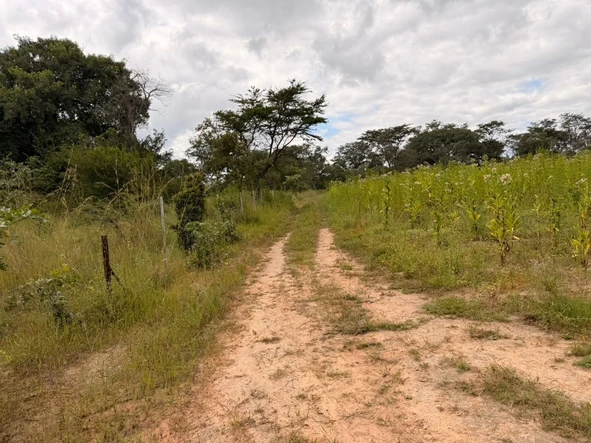 Farm & Agricultural Land