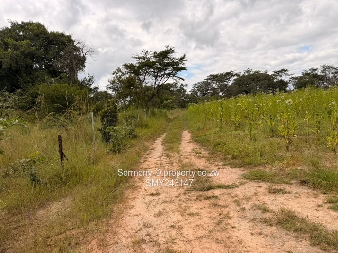 Plots for sale in Chegutu 
