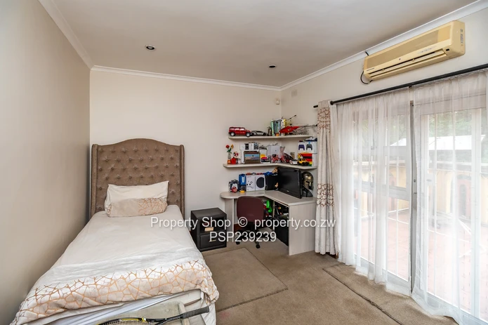 The Ultimate All-in-One Experience