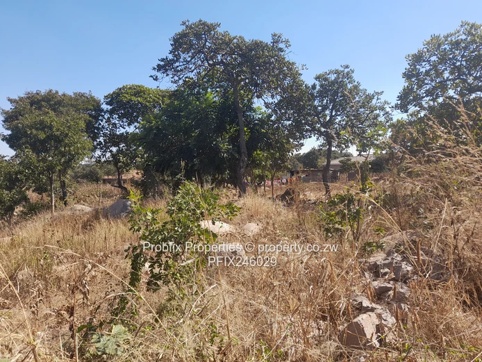 Crow Hill Residential Stand for Sale