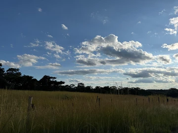 Farm & Agricultural Land