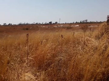 Farm & Agricultural Land