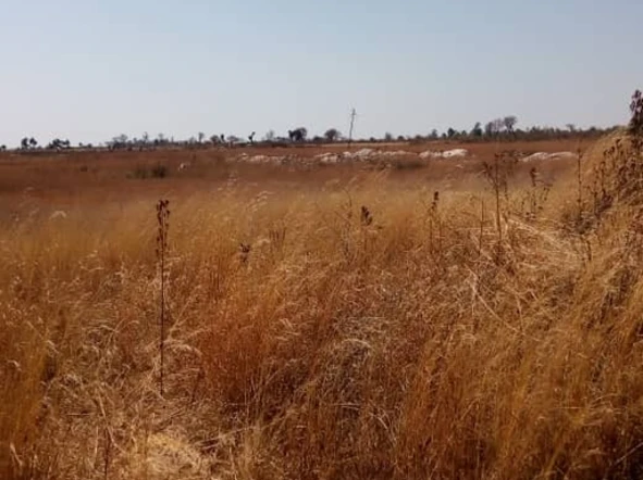 Farm & Agricultural Land