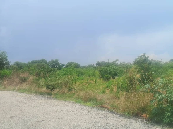 Farm & Agricultural Land