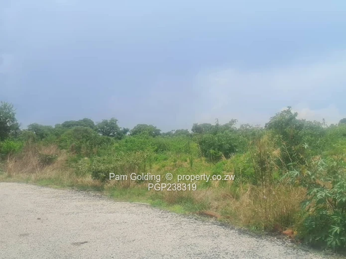 Perfect Agro-Residential Plot (Sole Mandate)