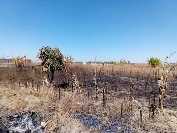 Commercial & Industrial Land