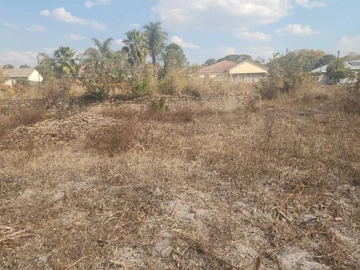 Stands & Residential Land