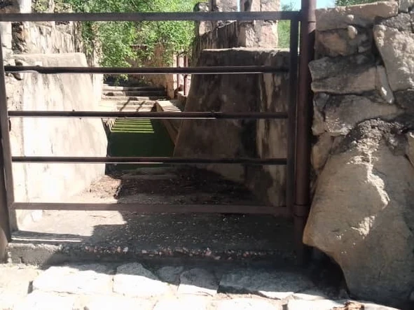 Farm & Agricultural Land