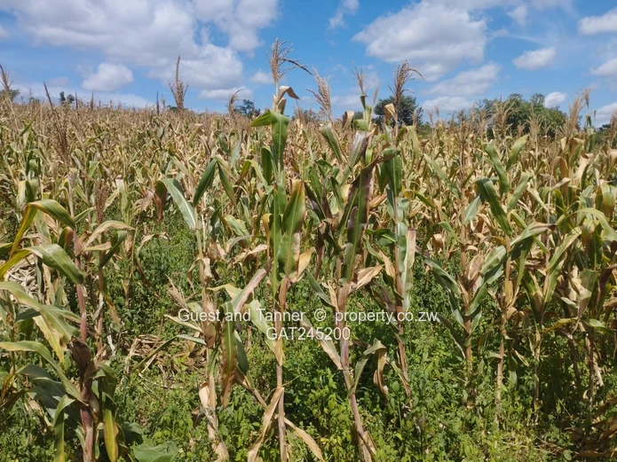 Residential Land For Sale In Buckland Terraces Estate Pomona