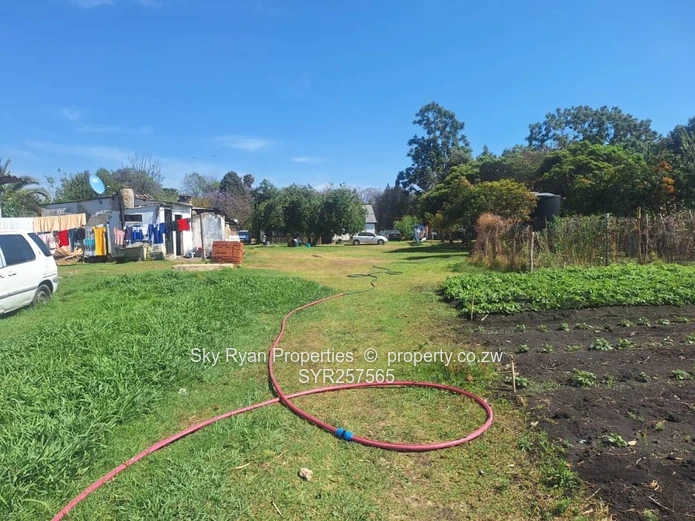 Greendale Avenue 