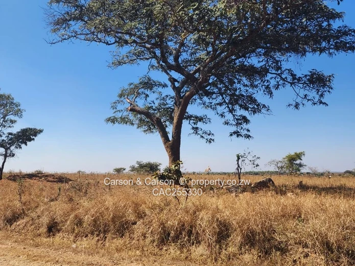 20ha Karoi Grazing Farm — Arable Soil & Gravel Access