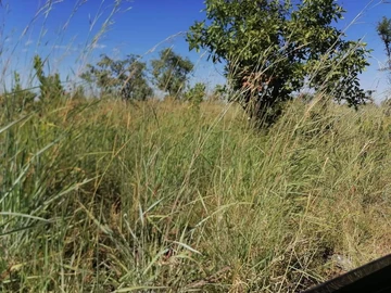 Farm & Agricultural Land