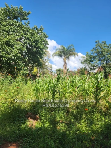 Greystone Park: 4-Bed Home on 9,185 m² with Pool & Borehole