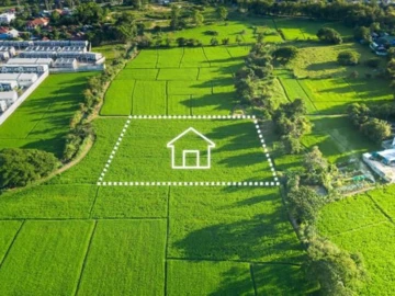 Stands & Residential Land