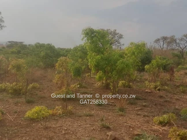 432m² RESIDENTIAL STAND for SALE| TYNWALD