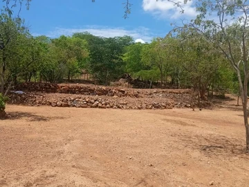 Farm & Agricultural Land