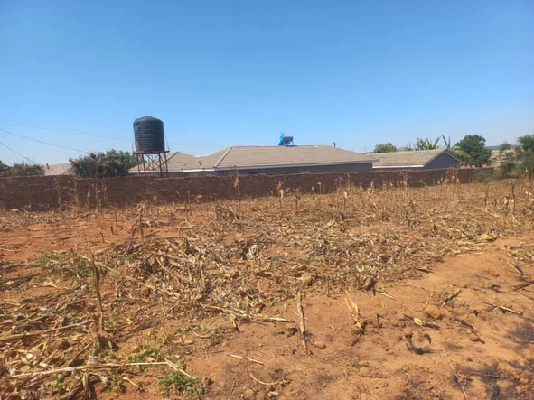 Stands & Residential Land