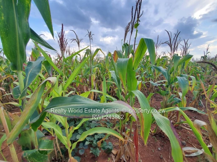 For Sale: Residential Stand in Haydon Park, Harare