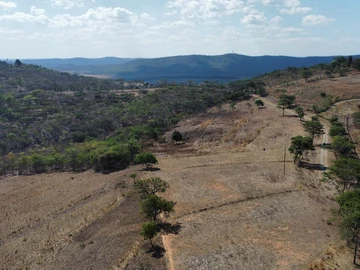 Farm & Agricultural Land