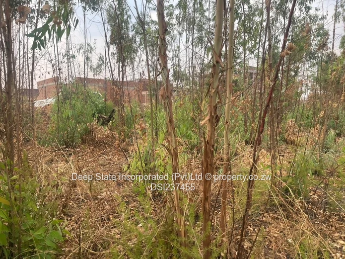 Cold comfort stand for sale (Gated community)