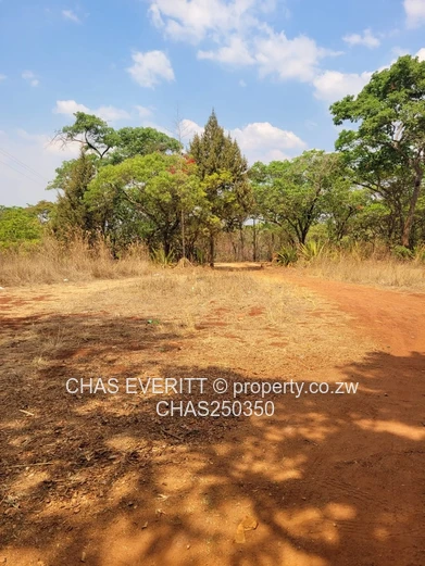 Glen Forest Land For Sale