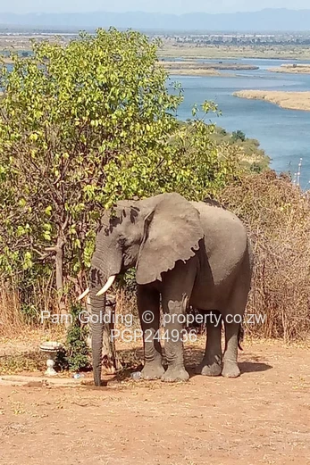 Private Hilltop Lodge For Sale