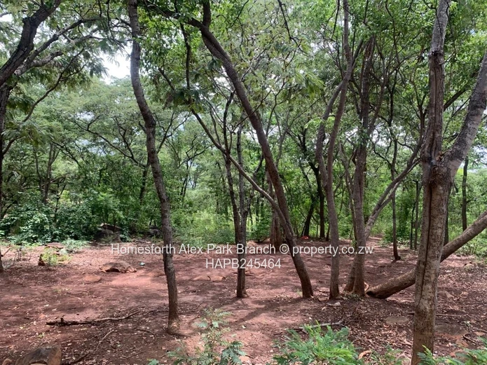 Darwendale Property On Sale