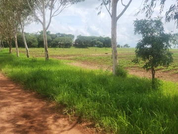 Farm & Agricultural Land