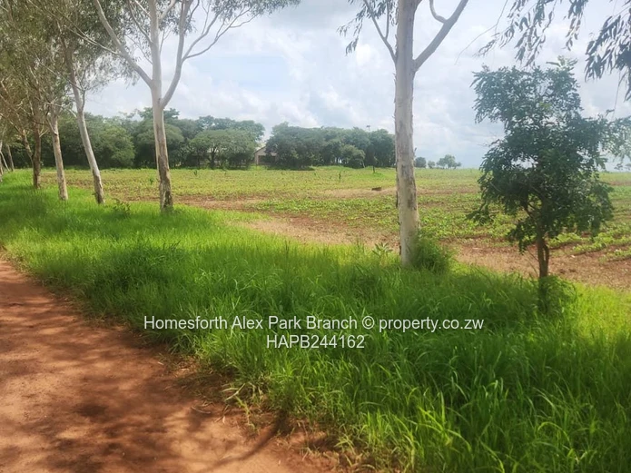 Banket Farm For Sale