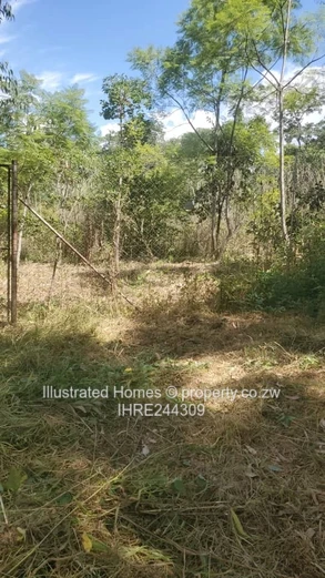 Opportunity not to miss