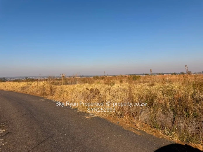 Nyeredzi Ridge Pomona Stand For Sale